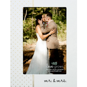 Mr. & Mrs. MDF Frame