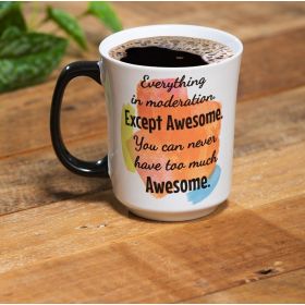 Can Never Have Too Much Awesome Mug